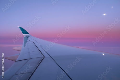 Twilight Wing View