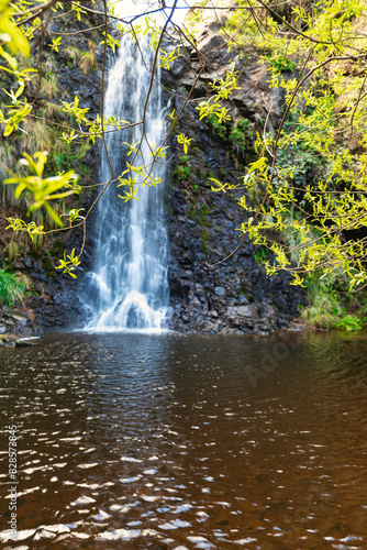 Vertical photo of a waterfall forming a pool of water