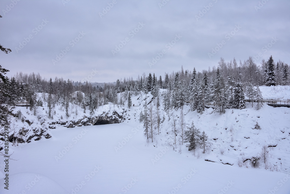 Winter in a spruce forest, spruces covered with white fluffy snow. Selective focus. Winter Landscape with Snow and Trees. Snow covered trees in forest during winter Winter in a spruce forest, spruces covered with white fluffy snow. Selective focus. Winter Landscape with Snow and Trees. Snow covered trees in forest during winter
