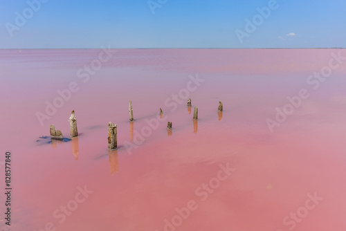 wooden piers in salt lake  wooden remains in pink lake