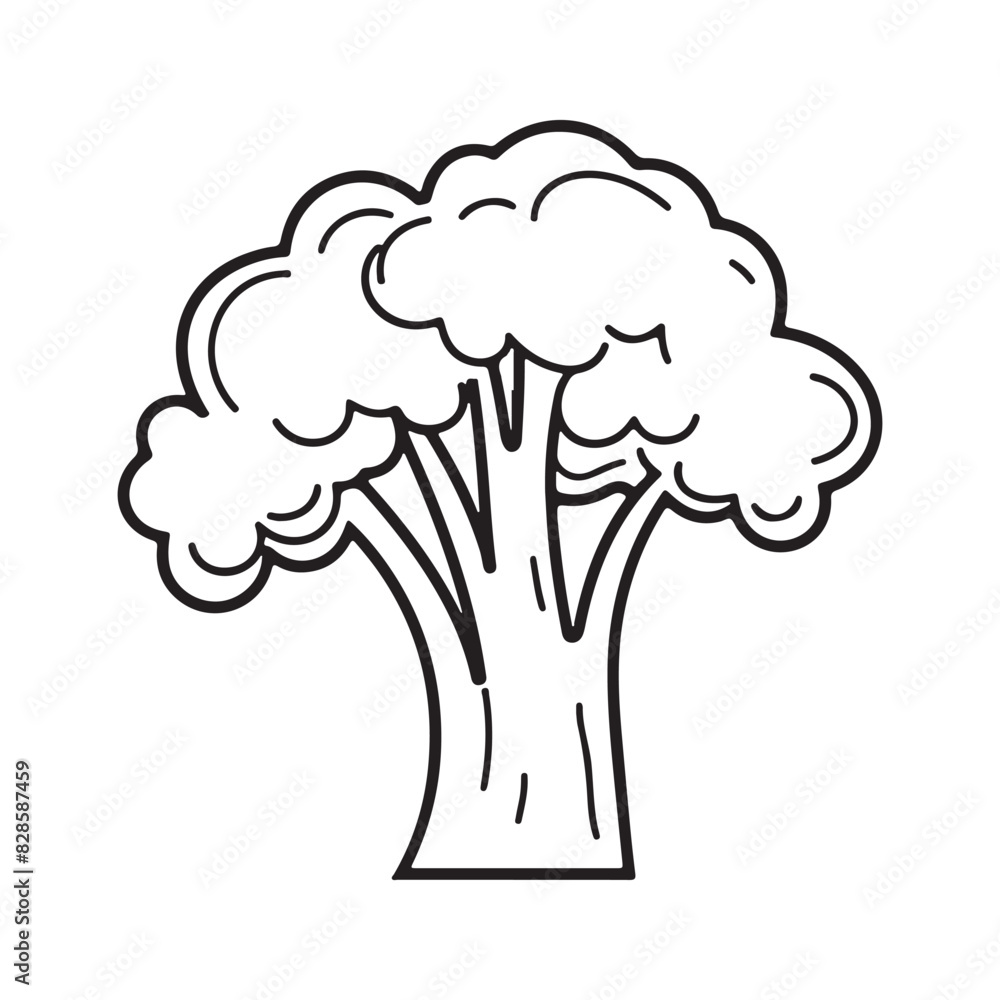 Doodle Icon of Fresh Cauliflower. Healthy Eating Design Element. Simple Outline Vegetable Illustration. Doodle Icon of Fresh Cauliflower. Healthy Eating Design Element. Simple Outline Vegetable Illustration.