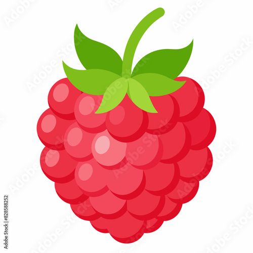 one-raspberries vector illustration 