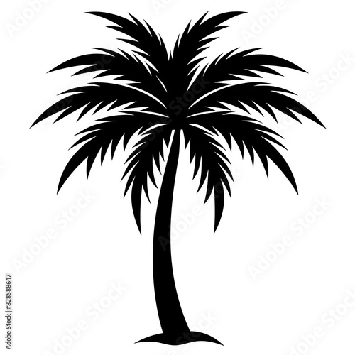 palm-tree-vector-illustration