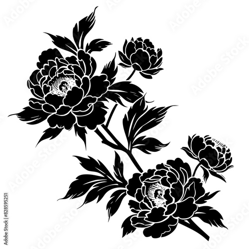 peony silhouette, peony svg, peony png, peony illustration, peony, silhouette flower, floral svg, herb svg, flower illustration, flower, floral, vector, nature, illustration, spring, design, pattern, 