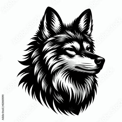 Retro Tattoo Design of a Maned Wolf - Isolated Vector Icon Symbol for Carnivorous Wildlife from Chrysocyon Brachyurus in America photo