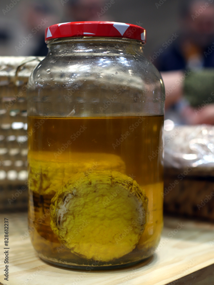 queso artesanal curándose en aceite dentro de un bote queso artesanal curándose en aceite dentro de un bote