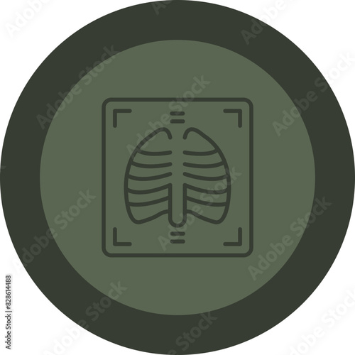 X Ray Line Green Circle Icon