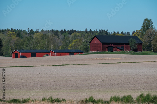 Rural scene of a nordic farm house and a field during the spring time.