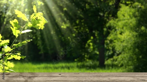 green spring park idyll in sunshine with wooden board in foreground for product display and blurred tree bokeh light background