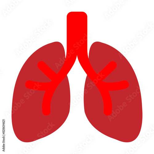 Lungs Infection Flat Icon