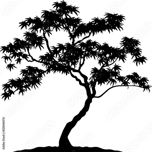 Vector sketch illustration. Black silhouette of Japanese Maple isolated on white background. AI generated illustration.