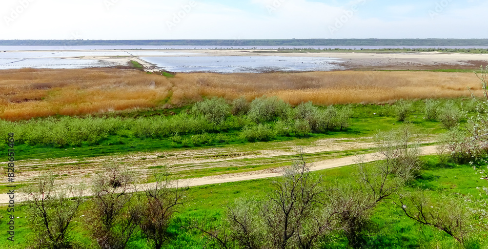 Natural landscape, view of the shore of the Kuyalnik estuary and reed beds,