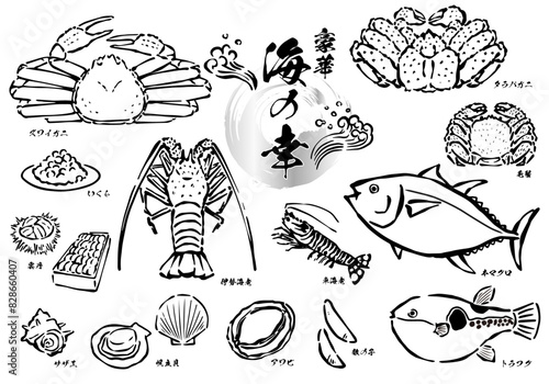 魚介類や海鮮の手書き線画イラスト素材セット