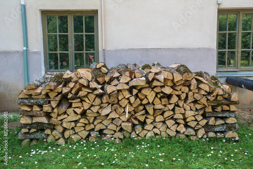 A pile of dry firewood by the wall of the house.