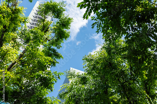 埼玉県さいたま市中央区にあるけやきひろばの景色