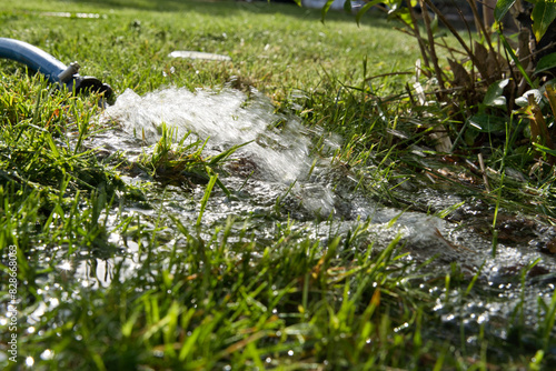 water runs out of a garden hose over a meadow in the garden