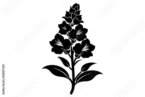 snapdragon flower vector silhouette illustration 