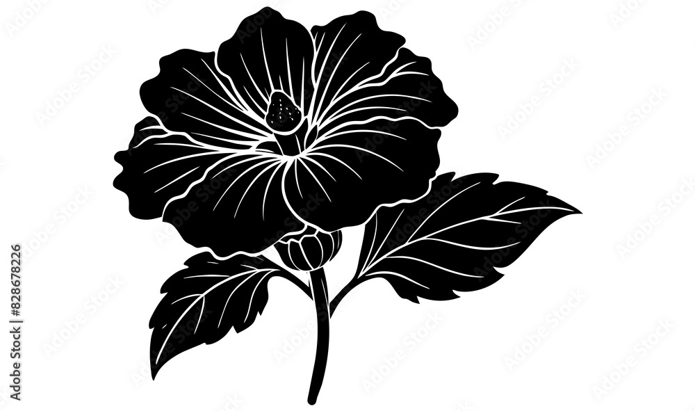 cosmos flower vector silhouette illustration