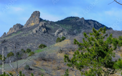 Mountain landscape, coniferous trees against the backdrop of the mountains of the ancient volcano Karadag