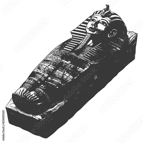 ancient egypt sarcophagus with old engraving style