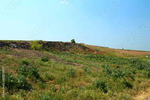 Obraz na płótnie A grassy hill with bushes w salonie