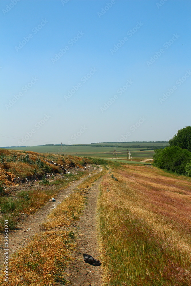 A dirt road with grass and trees A dirt road with grass and trees