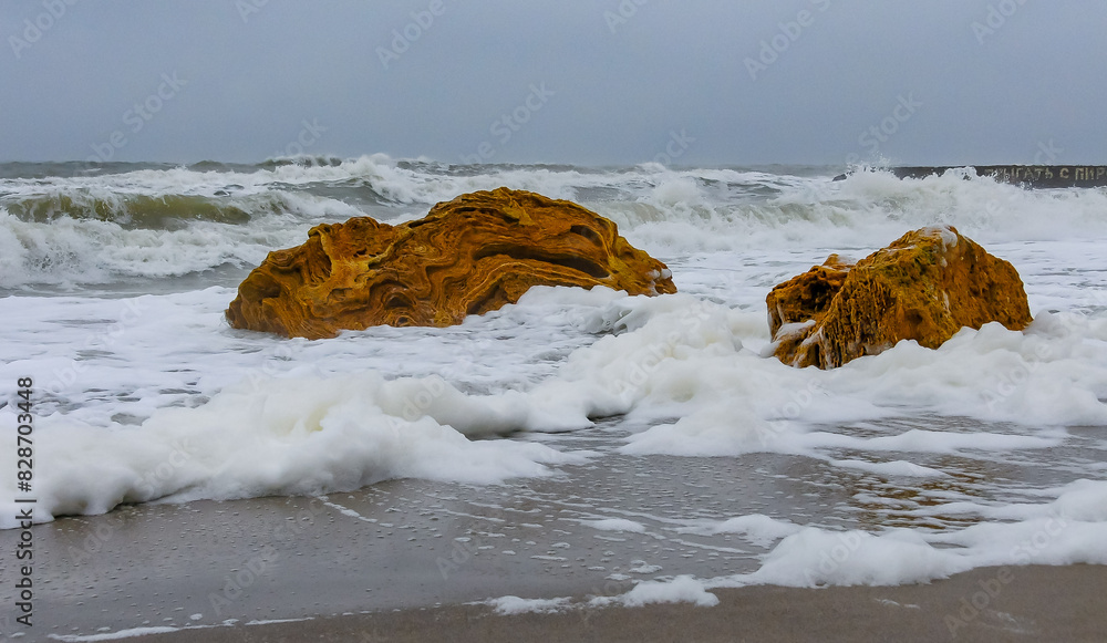Eutrophication of the sea, Dirty foam on the Black Sea during a storm near the city of Odessa Eutrophication of the sea, Dirty foam on the Black Sea during a storm near the city of Odessa