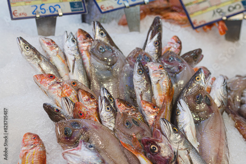 Obraz na plátne Various fresh fish displayed on the ice on the table for sale in a fish shop or market