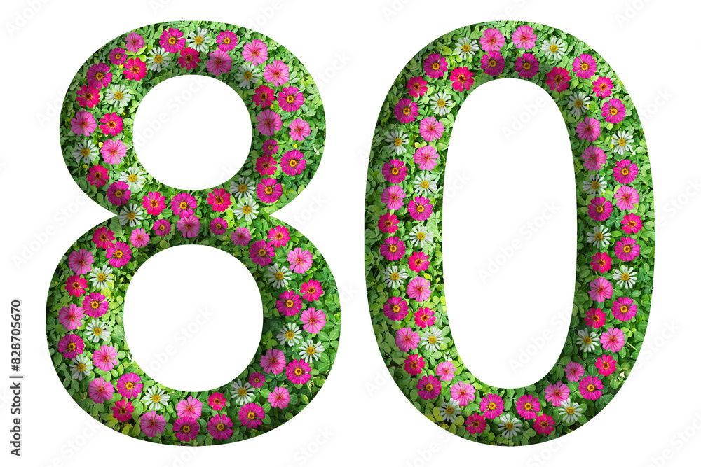 3d of the number 80 is made of green grass and beautiful flower isolated on transparent background. Go green concept for Memorial Day template 3d of the number 80 is made of green grass and beautiful flower isolated on transparent background. Go green concept for Memorial Day template
