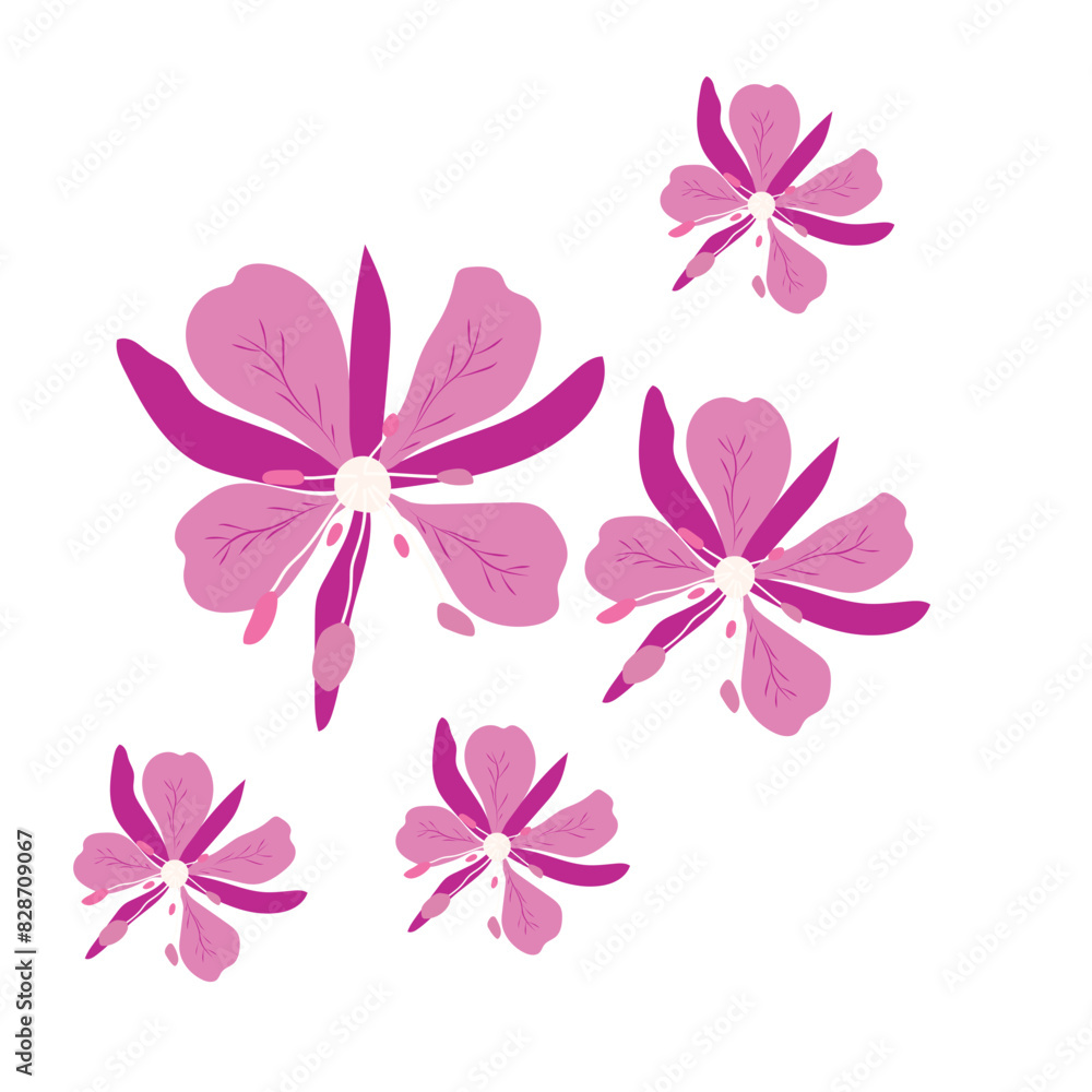 Fireweed Fireweed