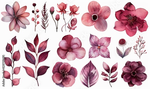 Fototapeta Naklejka Na Ścianę i Meble -  Watercolor Floral Clipart Collection for Design Generative AI
