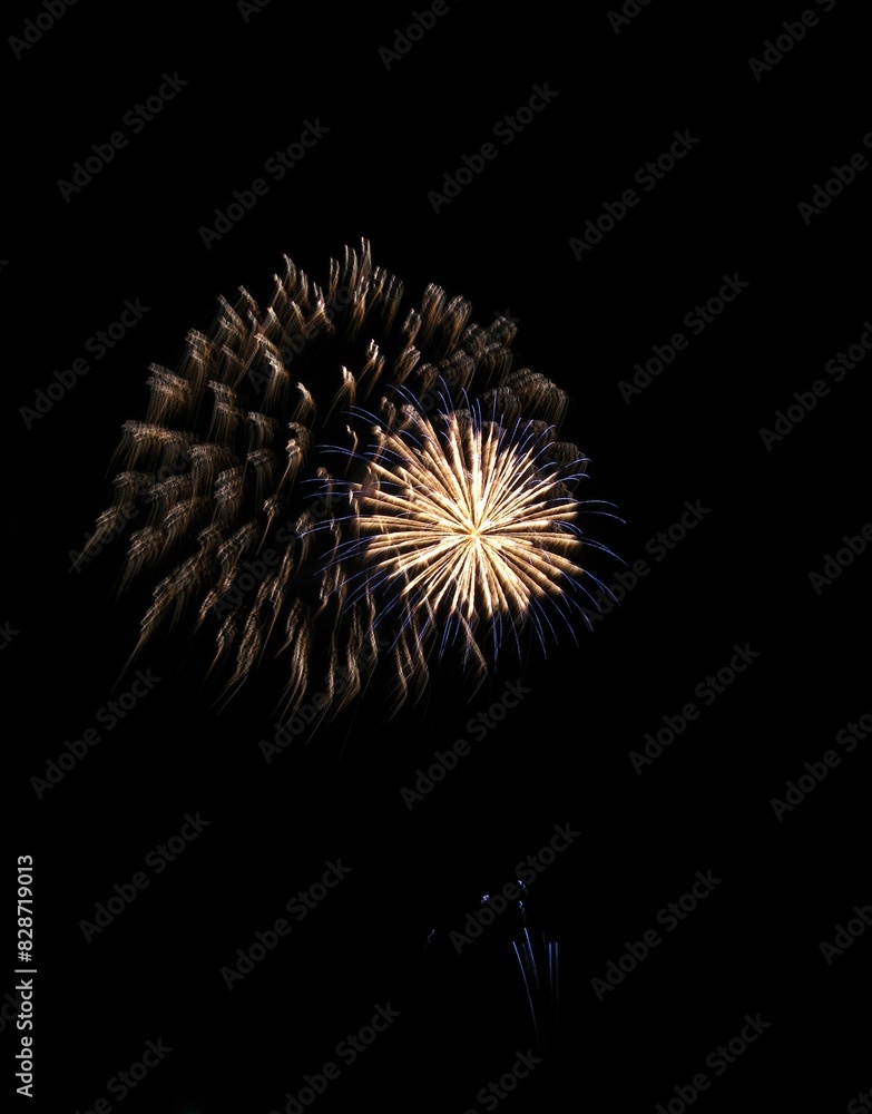 Fototapeta premium 打上げ花火