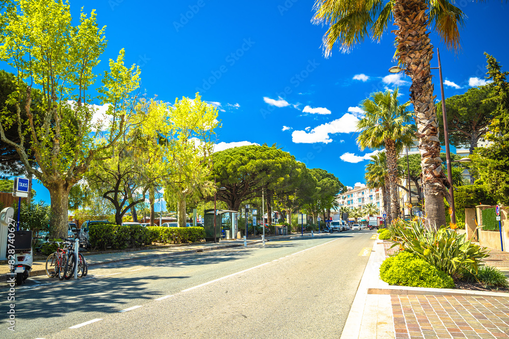 Town of Sainte Maxime palm street view