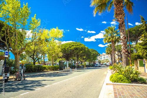 Obraz na płótnie Town of Sainte Maxime palm street view w salonie