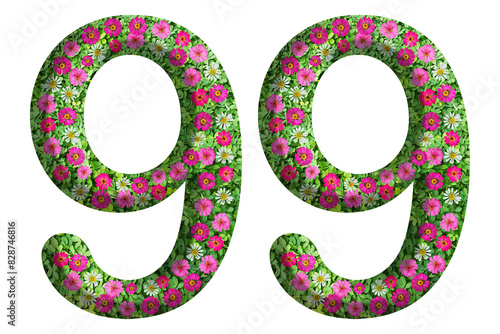 3d of the number 99 is made of green grass and beautiful flower isolated on transparent background. Go green concept  for memorial day template