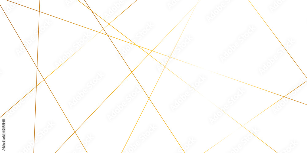 Luxury premium shiny golden geometric lines overlap design for cosmetic product cover background. Vector geometric luxury golden lines for banner, template, book cover, cosmetic product cover. Luxury premium shiny golden geometric lines overlap design for cosmetic product cover background. Vector geometric luxury golden lines for banner, template, book cover, cosmetic product cover.