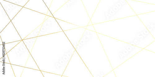 Luxury premium shiny golden geometric lines overlap design for cosmetic product cover background. Vector geometric luxury golden lines for banner, template, book cover, cosmetic product cover.  