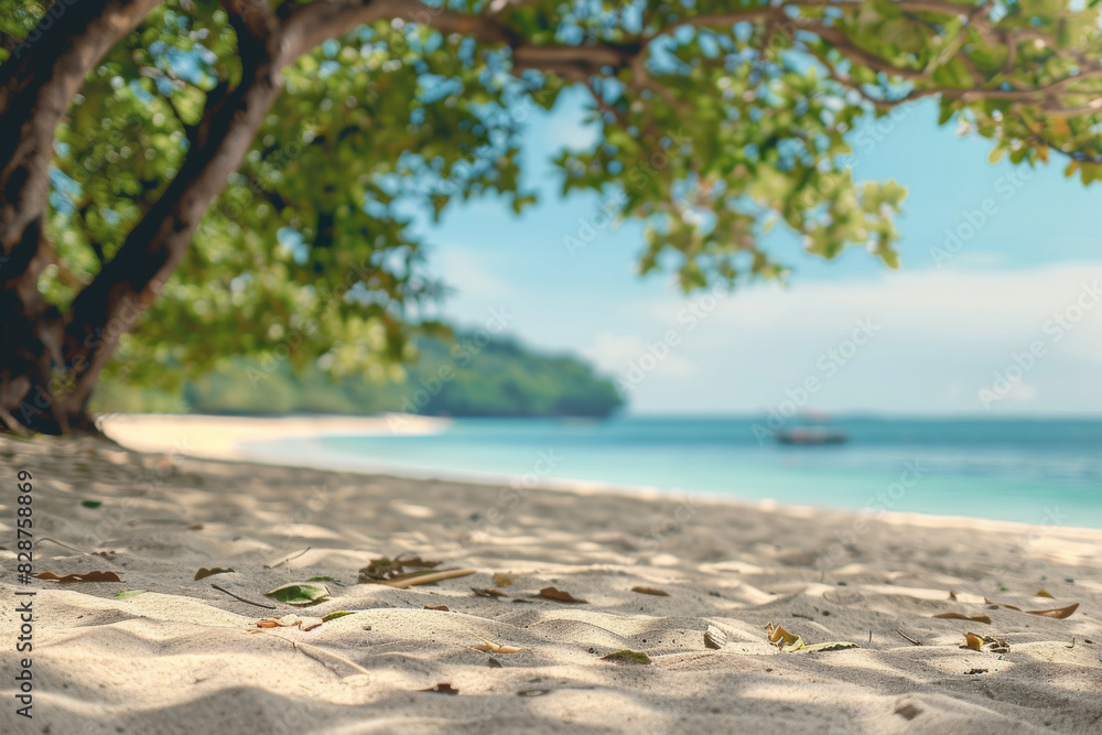 Beautiful sandy beach with blur sky and tree summer Beautiful sandy beach with blur sky and tree summer