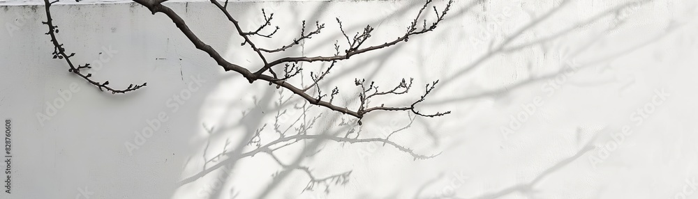 Minimalist photo of a tree branch casting a shadow on a white wall, creating a serene and artistic natural scene with intricate details. Minimalist photo of a tree branch casting a shadow on a white wall, creating a serene and artistic natural scene with intricate details.