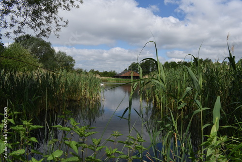 Natural lake scene on a marshland in UK