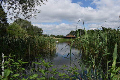 Natural lake scene on a marshland in UK