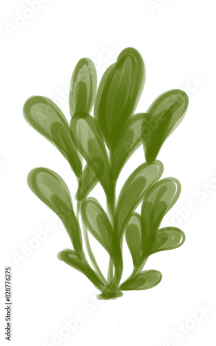 leaves