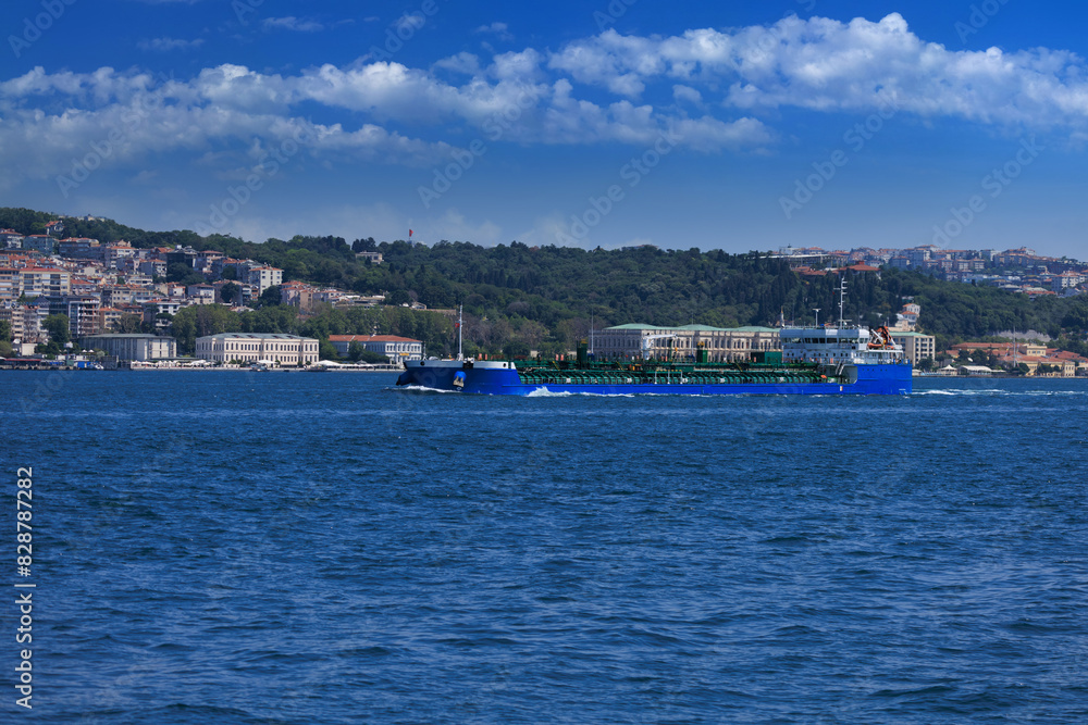 Fototapeta premium Blue seascape overlooking the coast. View of the Bosphorus in Istanbul city on sunny summer day, in a public place.