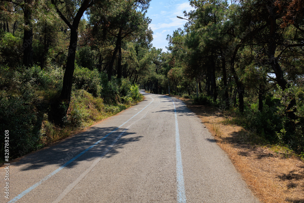 Obraz premium Beautiful road and landscape, streets and roads of a southern small town, public place in Turkey, on a summer sunny day