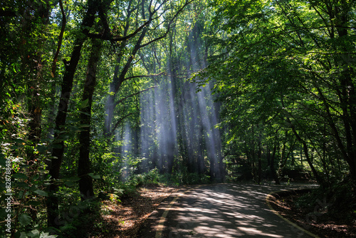 Fototapeta Naklejka Na Ścianę i Meble -  Beautiful road and landscape, streets and roads of a southern small town, public place in Turkey
