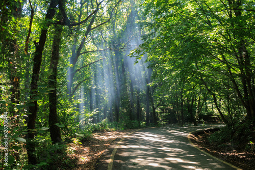 Fototapeta Naklejka Na Ścianę i Meble -  Beautiful road and landscape, streets and roads of a southern small town, public place in Turkey