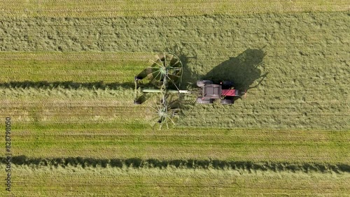 Efficient Farming: Aerial View of Tractor Gathering Grass into Piles, topdown (ID: 828798050)
