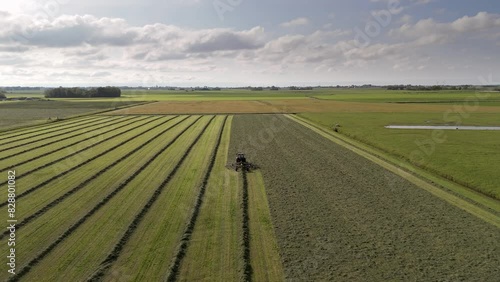 Aerial View: Tractor Gathering Rows of Grass into Piles on Farmland (ID: 828801082)