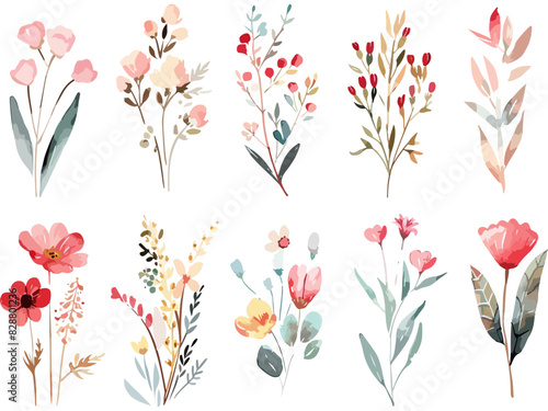 Set of watercolor wild flower bouquets