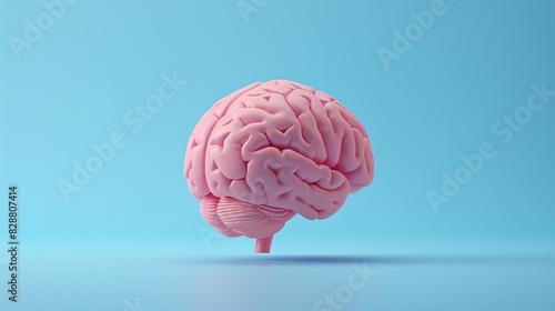 3D rendering of a human brain isolated on a blue background, demonstrating the concept of neuroscience, cognition, and human intelligence.